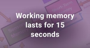 Article: Working Memory and AAC