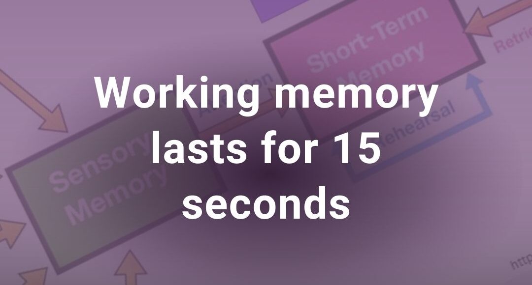 Article: Working Memory and AAC