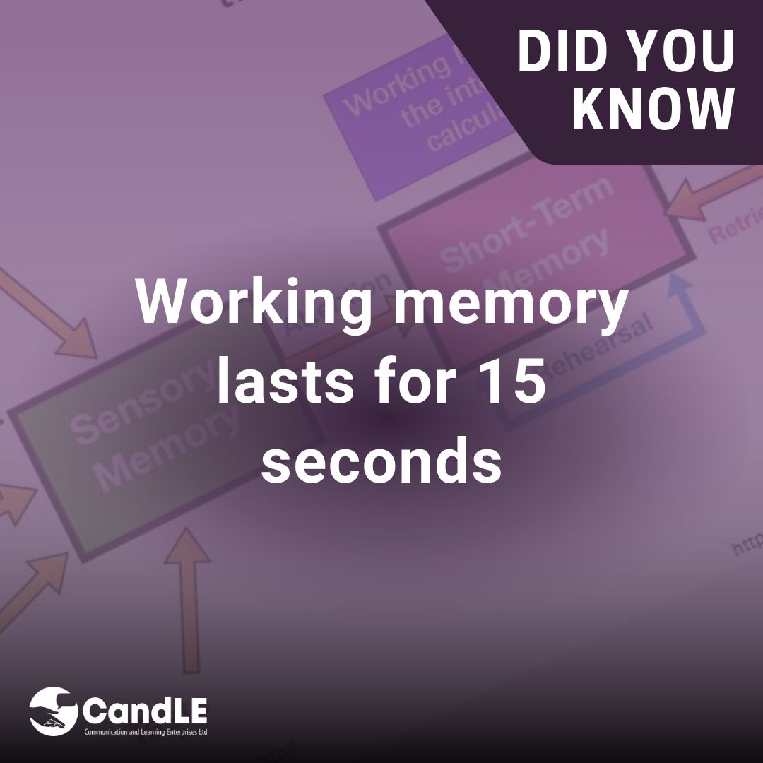 Did you know - working memory