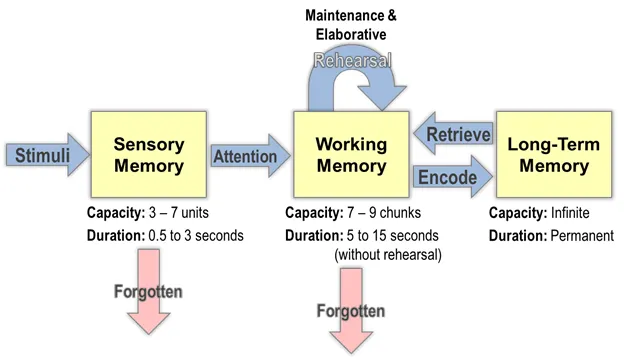Working Memory Models