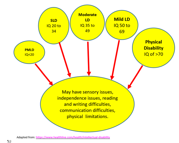Diagram that states: May have sensory issues, independence issues, reading and writing difficulties, communication difficulties, physical limitations.