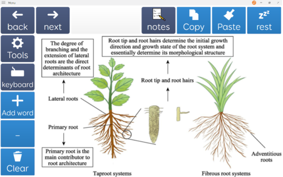 An annotated diagram where information can be read aloud. Images and text that are not needed have been removed with a clear background to reduce visual distractions