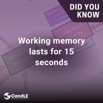 Did-you-know-working-memory Did-you-know-working-memory