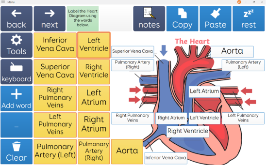 Labelling a scientific diagram with given labels (in yellow). The student can add these directly to the diagram with minimum effort, and has access to all the information that is required for the task